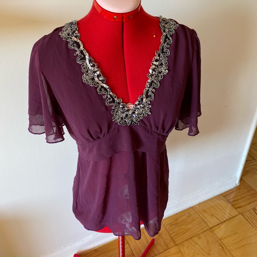 Decorative Lace Sequins Neckline Purple Sheer Top